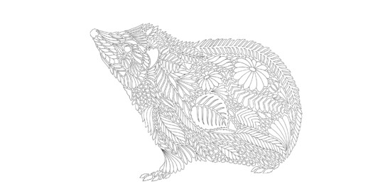 millie marotta hedgehog