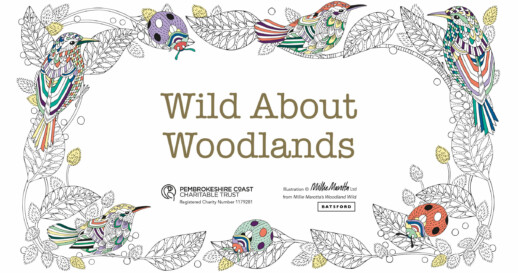 wild about woodlands