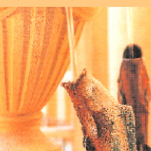 Bath City Break Guide - Paperback