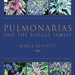 Pulmonarias and the Borage Family - Hardback