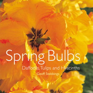 Spring Bulbs - Hardback