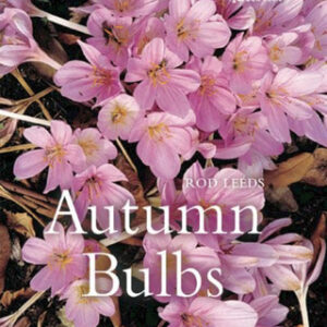 Autumn Bulbs - Hardback