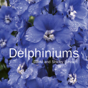 Delphiniums - Hardback
