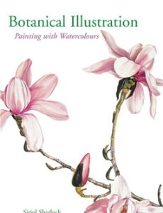 Botanical Illustration - Paperback