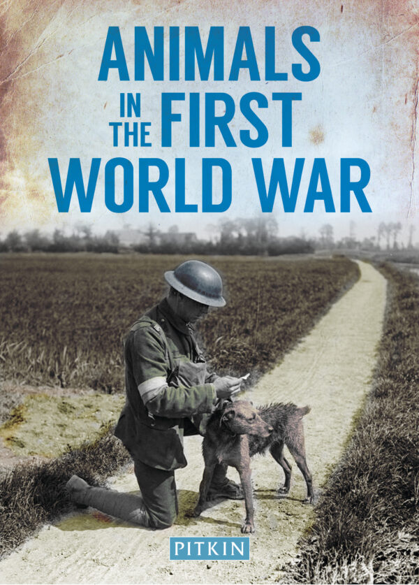 Animals in the First World War - Paperback
