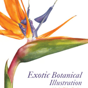 Exotic Botanical Illustration - Hardback