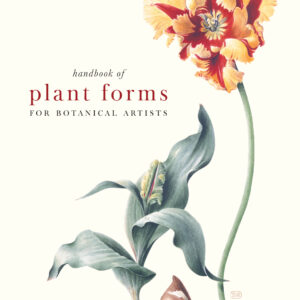 Handbook of Plant Forms for Botanical Artists - Hardback