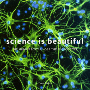Science is Beautiful: The Human Body - Hardback