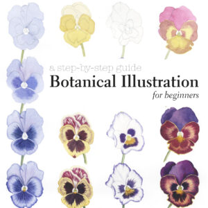 Botanical Illustration for Beginners - Hardback
