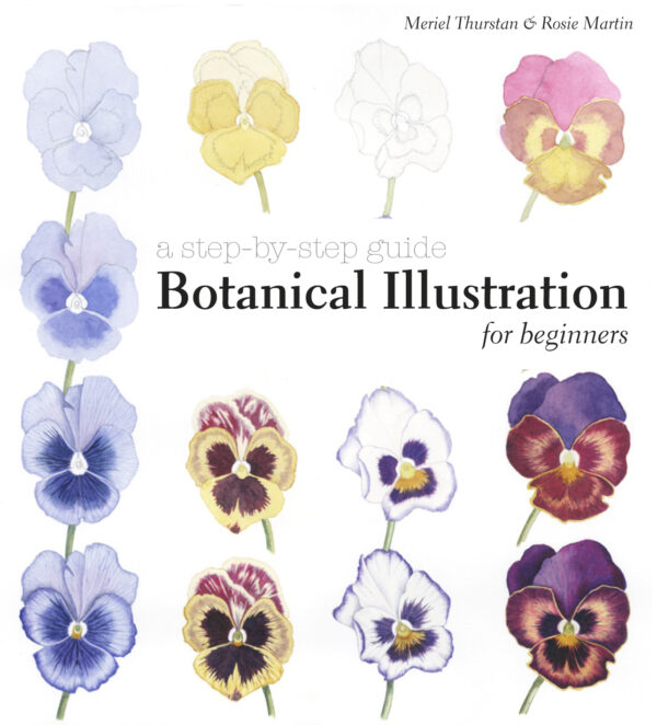 Botanical Illustration for Beginners - Hardback
