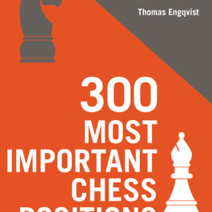 300 Most Important Chess Positions - Paperback