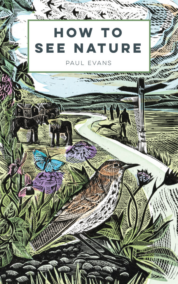 How to See Nature - Paperback