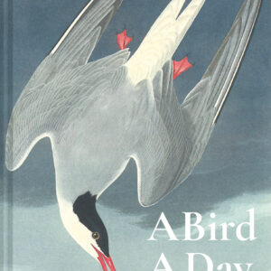 A Bird A Day - Hardback