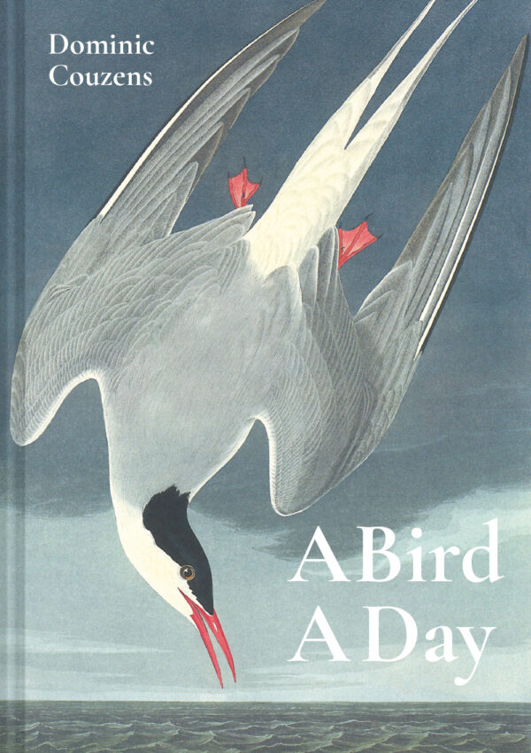 A Bird A Day - Hardback