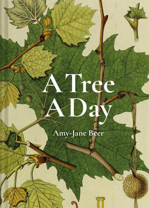 A Tree A Day - Hardback