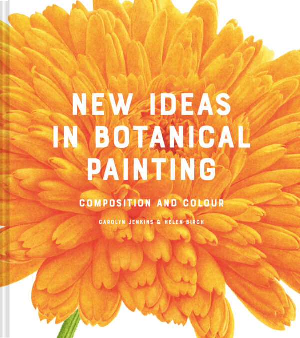 New Ideas in Botanical Painting - Hardback