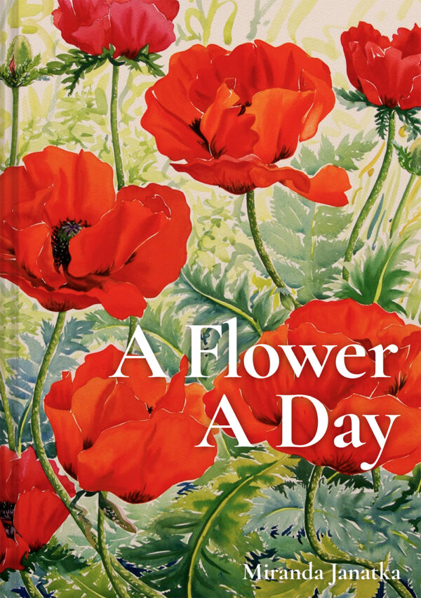 A Flower A Day - Hardback