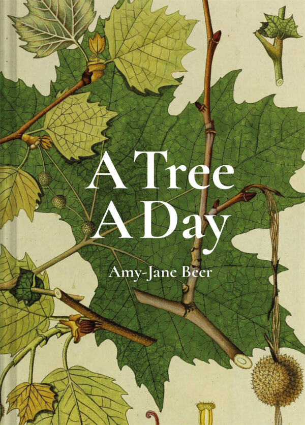 A Tree A Day - eBook