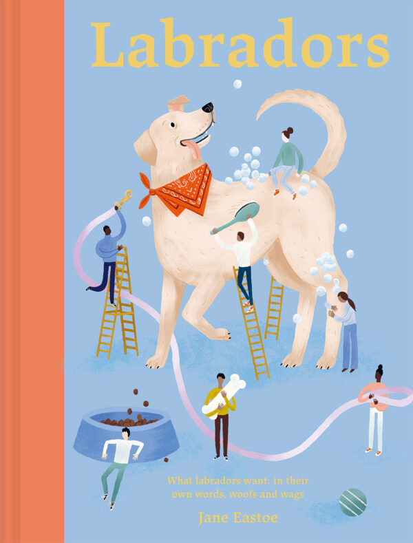 Labradors - Hardback