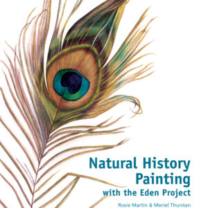Natural History Painting - Hardback