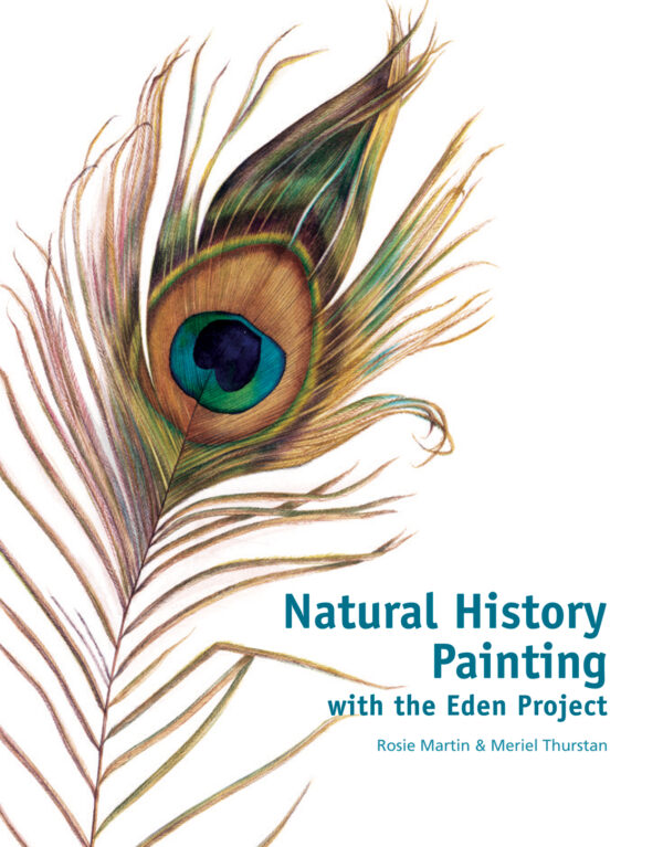 Natural History Painting - Hardback