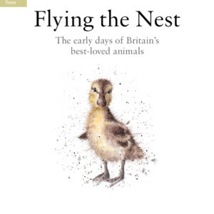 Flying the Nest - Hardback