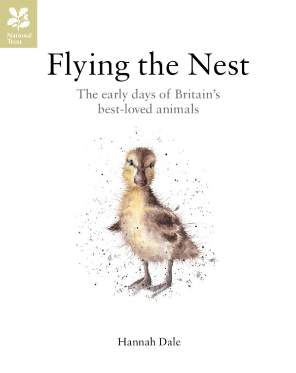 Flying the Nest - Hardback