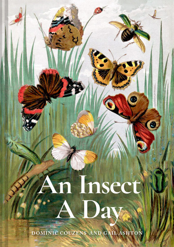 An Insect A Day - Hardback