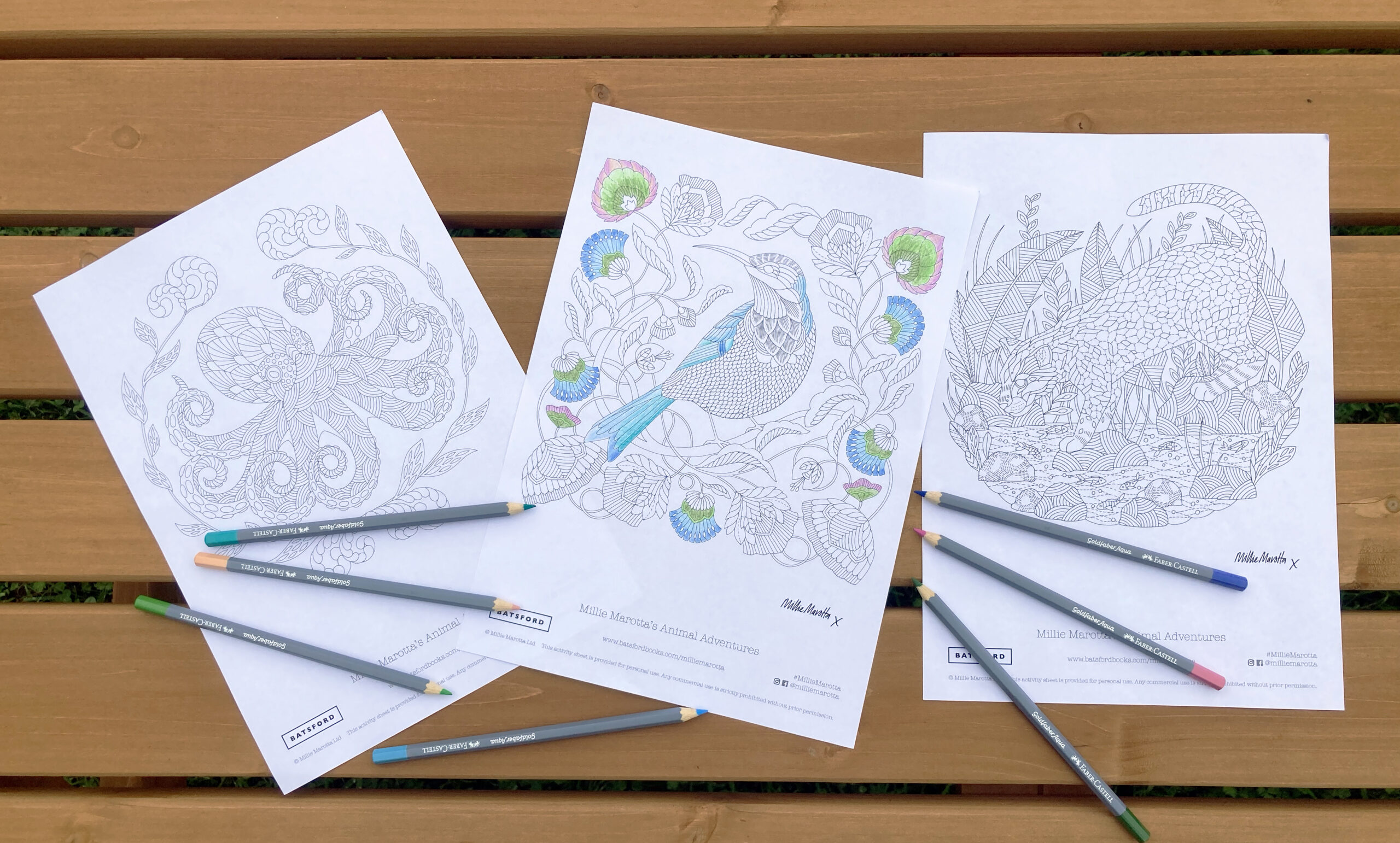 FREE MILLIE MAROTTA COLOURING SHEETS FOR THE SUMMER