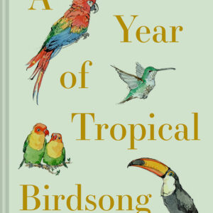 A Year of Tropical Birdsong - Hardback