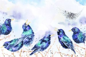 Image of illustration from A Wilding Year