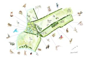 Image of Hannah's farm from A Wilding Year