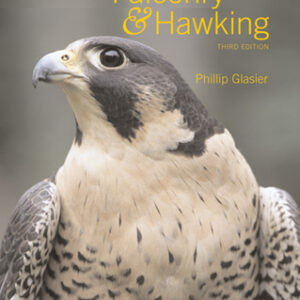 Falconry and Hawking - Hardback
