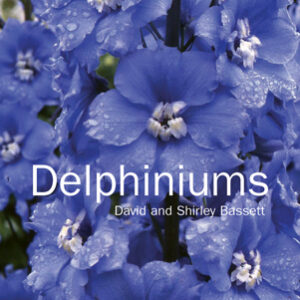 Delphiniums - Hardback