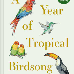 A Year of Tropical Birdsong - eBook