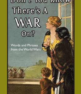 Don't You Know There's A War On? - eBook