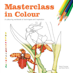 Masterclass in Colour - Paperback
