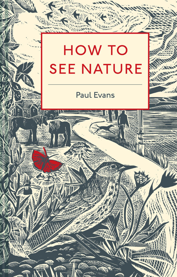 How to See Nature - Hardback