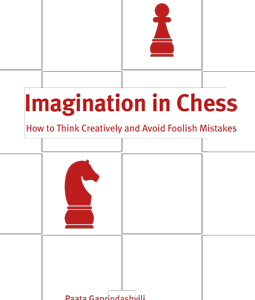 Imagination in Chess - eBook
