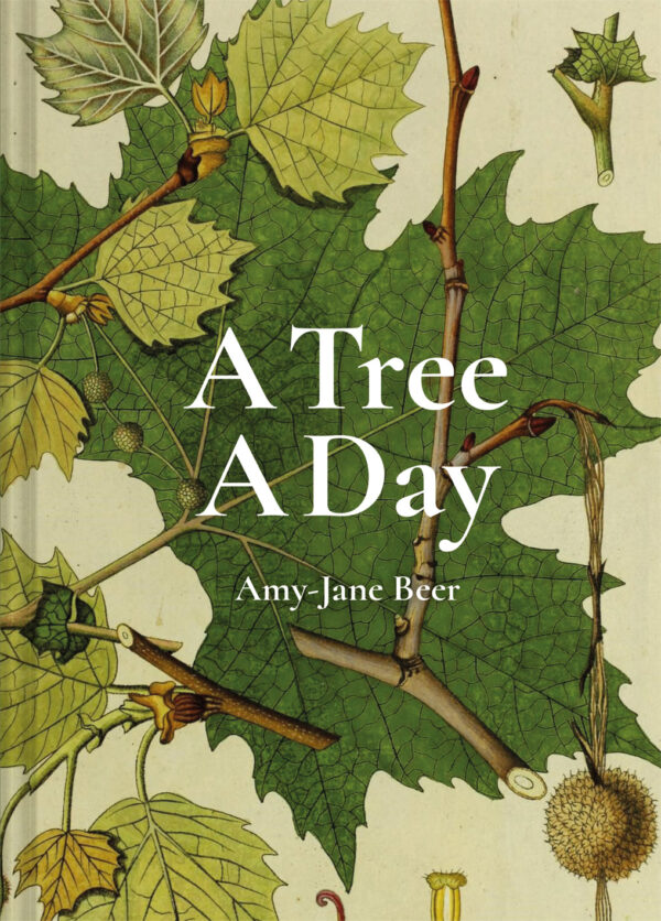 A Tree A Day - Hardback