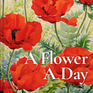 A Flower A Day - Hardback