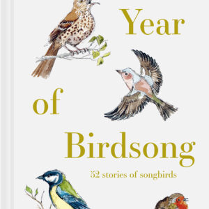 A Year of Birdsong - eBook