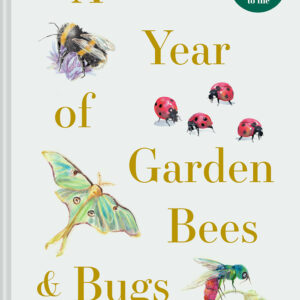 A Year of Garden Bees and Bugs - eBook