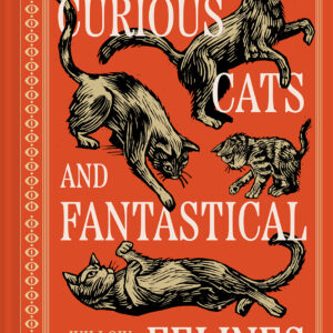 Curious Cats and Fantastical Felines - Hardback