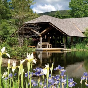 Adirondack Experience - Paperback