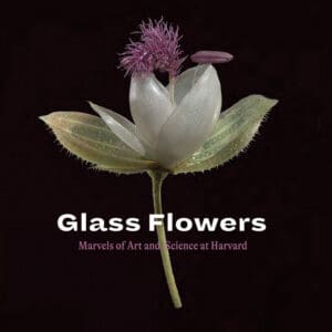 Glass Flowers - Paperback