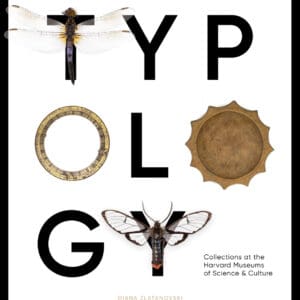 Typology - Paperback