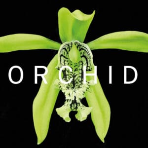 ORCHID - Hardback