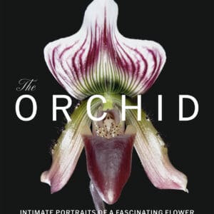 The Orchid - Hardback