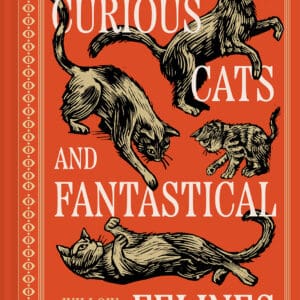 Curious Cats and Fantastical Felines – Hardback